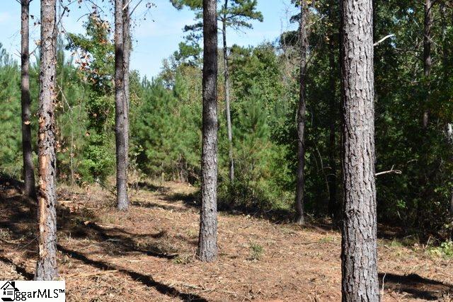 105 Mattie Campbell Road, Unit LOT 6 Honea Path, SC 29654 - Photo 12 of 13 Gallery Image 12