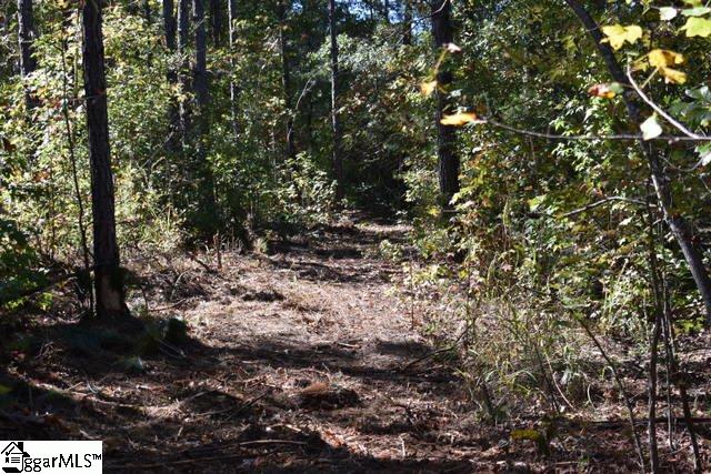 105 Mattie Campbell Road, Unit LOT 6 Honea Path, SC 29654 - Photo 13 of 13 Gallery Image 13