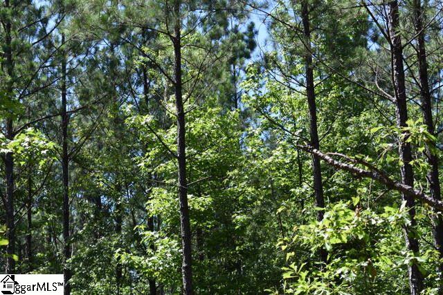 105 Mattie Campbell Road, Unit LOT 6 Honea Path, SC 29654 - Photo 3 of 13 Gallery Image 3