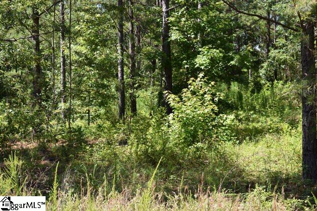 105 Mattie Campbell Road, Unit LOT 6 Honea Path, SC 29654 - Photo 7 of 13 Gallery Image 7