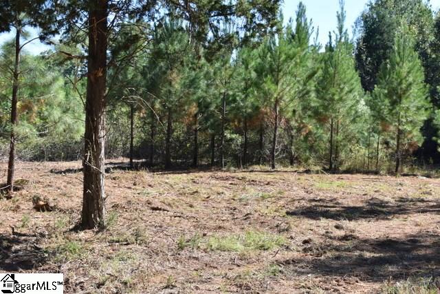 105 Mattie Campbell Road, Unit LOT 6 Honea Path, SC 29654 - Photo 8 of 13 Gallery Image 8