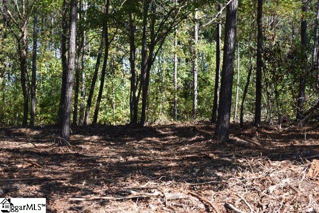 105 Mattie Campbell Road, Unit LOT 6 Honea Path, SC 29654 - Photo 9 of 13 Gallery Image 9