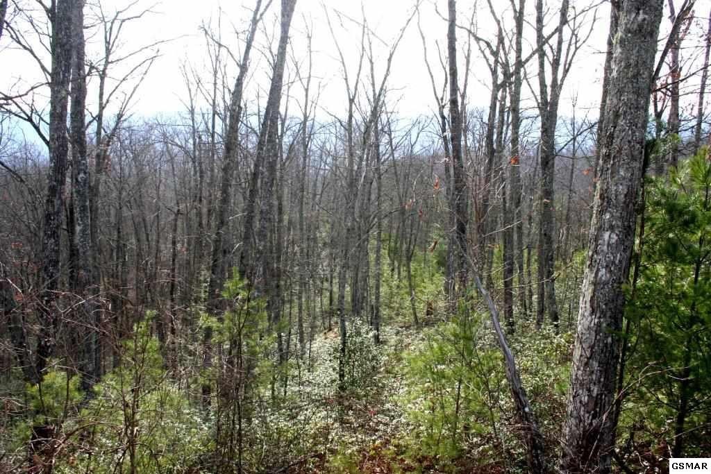 0 Morning Dove Way Sevierville, TN 37862 - Photo 3 of 5