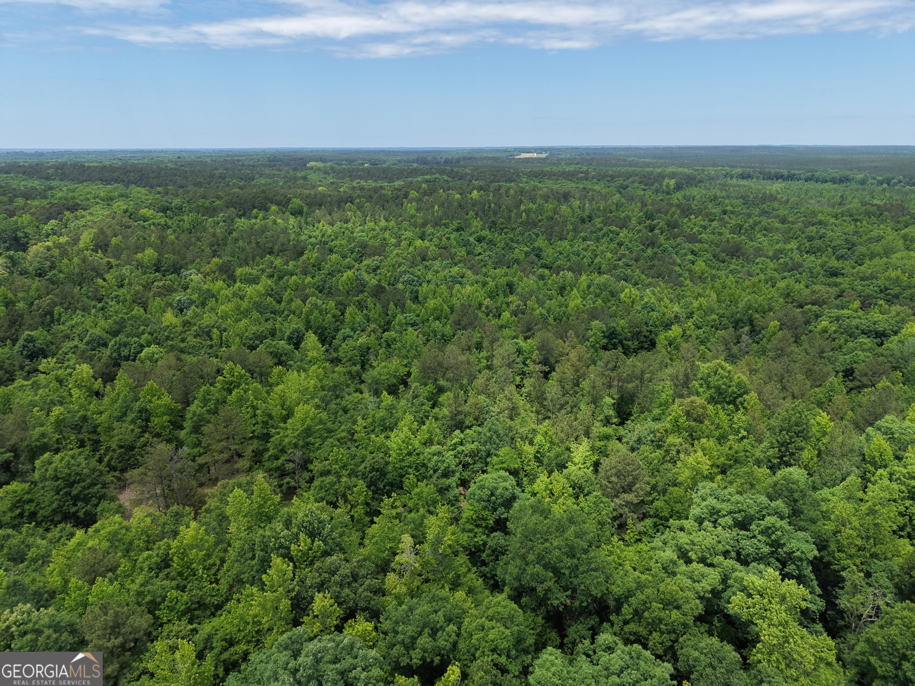 715 Fulsome Creek Road Sparta, GA 31087 - Photo 30 of 117