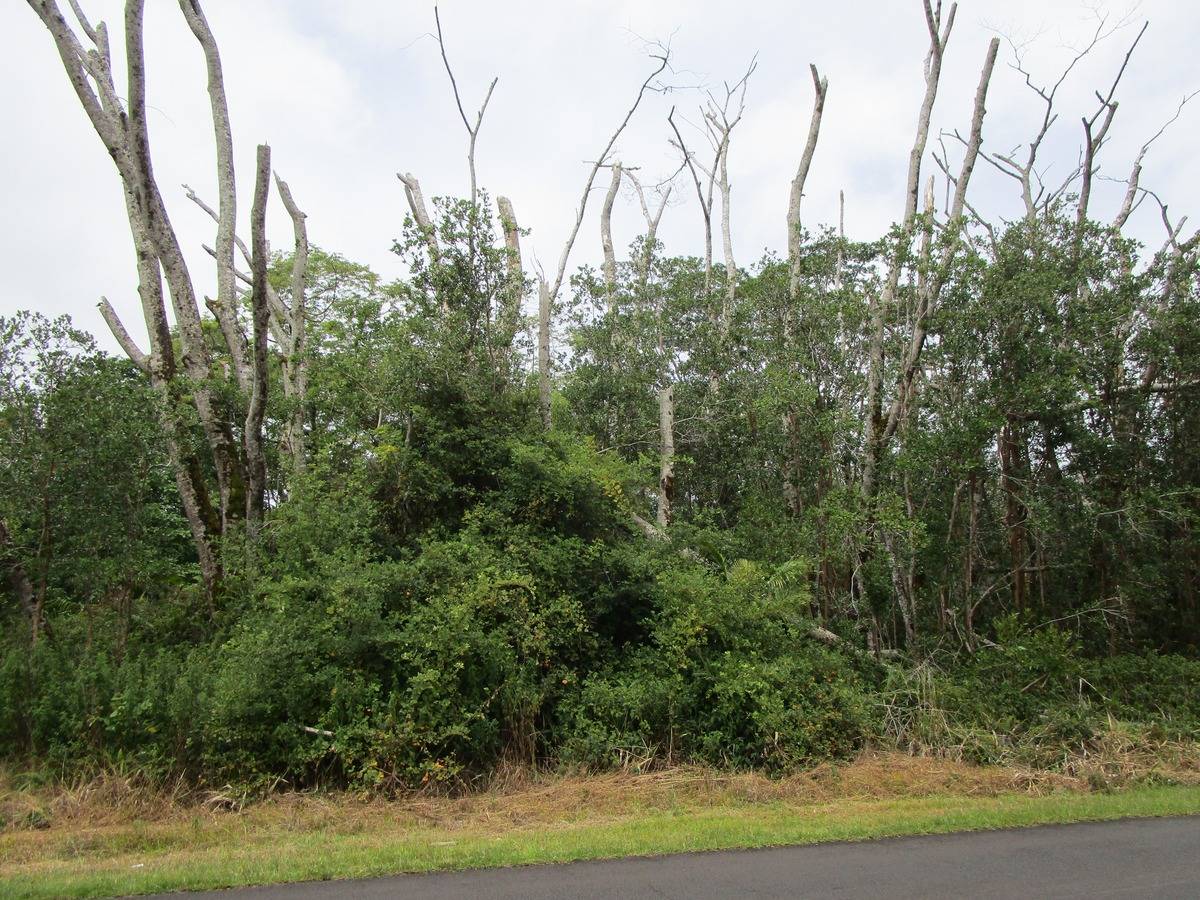 78 E South Kulani Road Mountain View, HI 96771 - Photo 3 of 6 a view of a yard