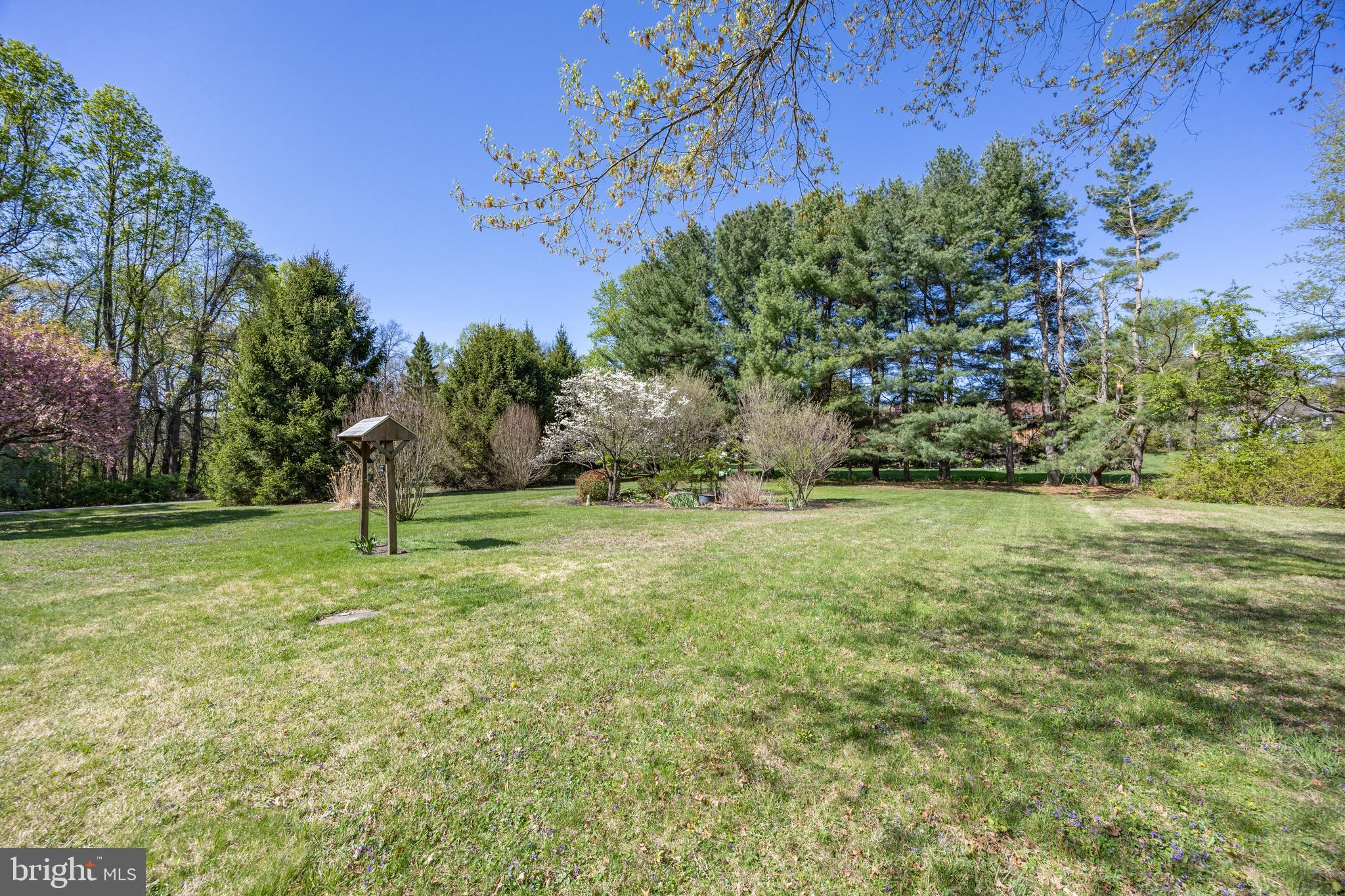3076 Conestoga Road Glenmoore, PA 19343 - Photo 19 of 31 a view of a field with trees