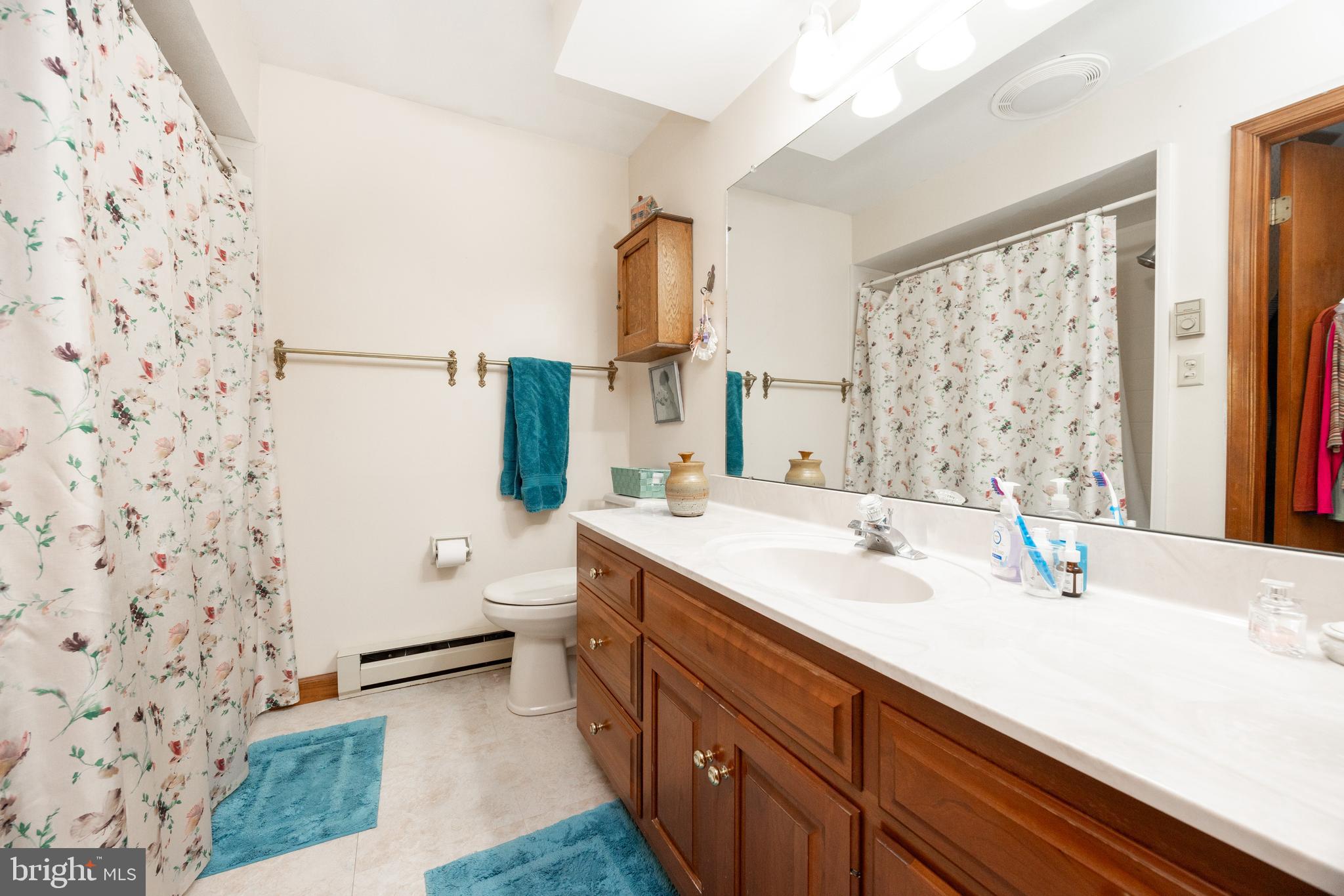 3076 Conestoga Road Glenmoore, PA 19343 - Photo 9 of 31 a bathroom with a sink and a mirror
