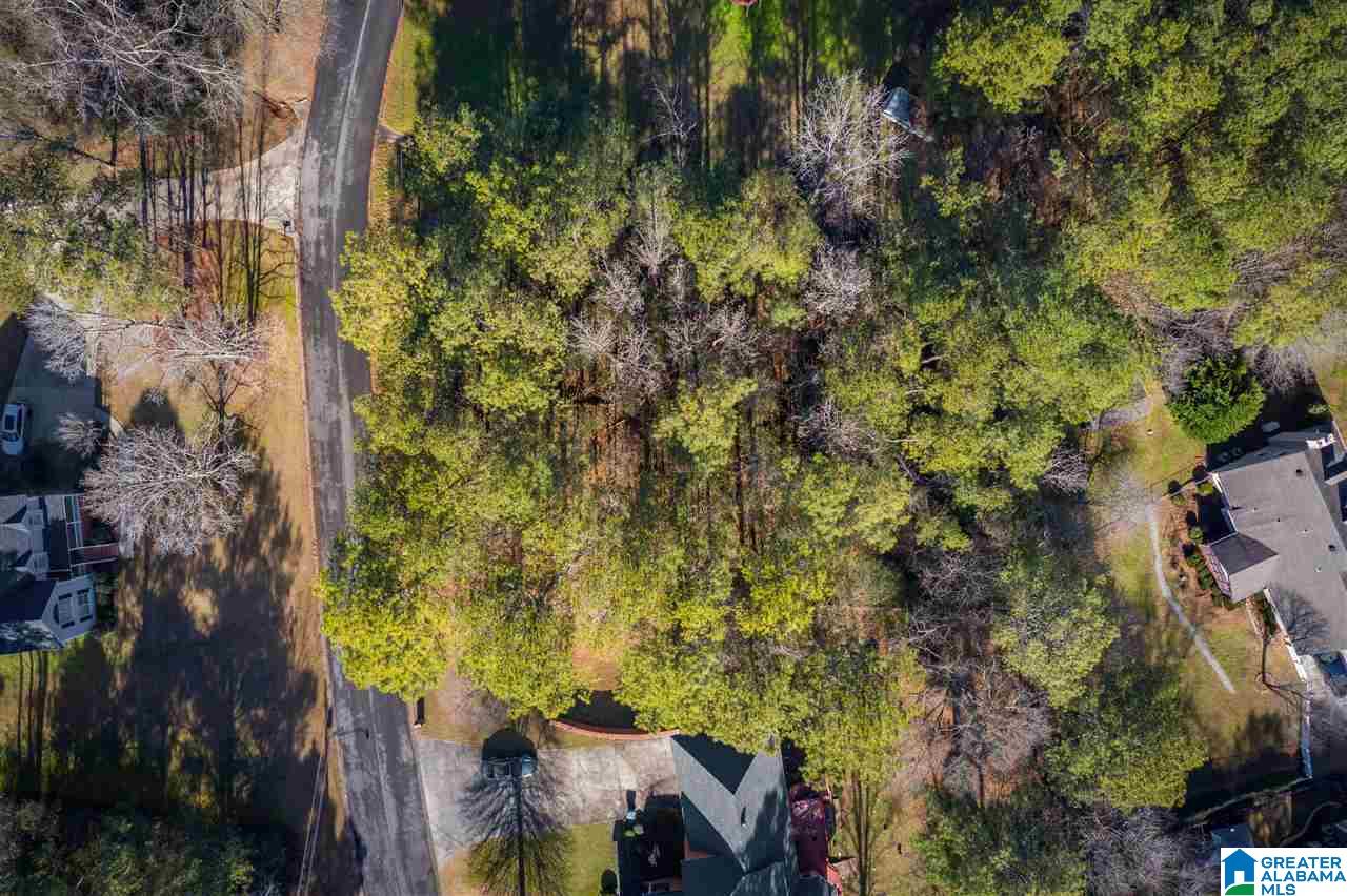 0 Scenic Trail, Unit 1 Oneonta, AL 35121 - Photo 18 of 18