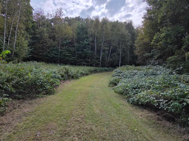 $750,000 | 1449 3 1/2 Avenue, Dallas, WI 54733