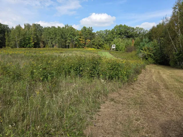 $750,000 | 1449 3 1/2 Avenue, Dallas, WI 54733