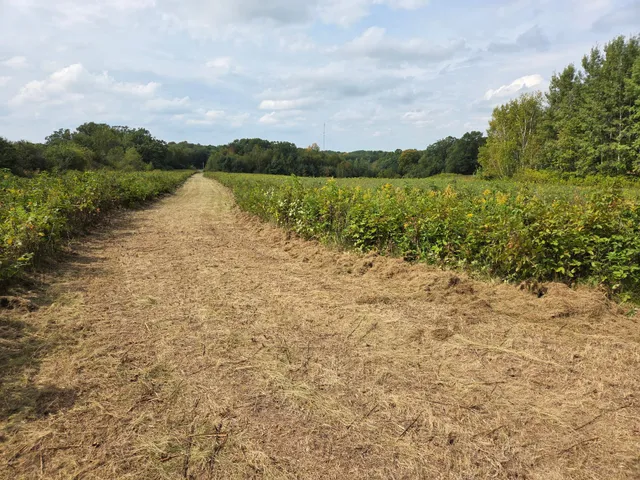 $750,000 | 1449 3 1/2 Avenue, Dallas, WI 54733