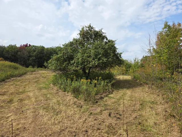 $750,000 | 1449 3 1/2 Avenue, Dallas, WI 54733