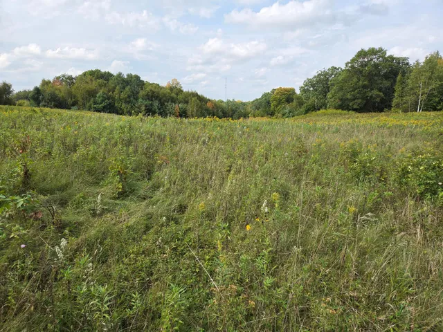 $750,000 | 1449 3 1/2 Avenue, Dallas, WI 54733