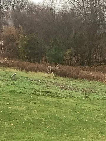 $750,000 | 1449 3 1/2 Avenue, Dallas, WI 54733