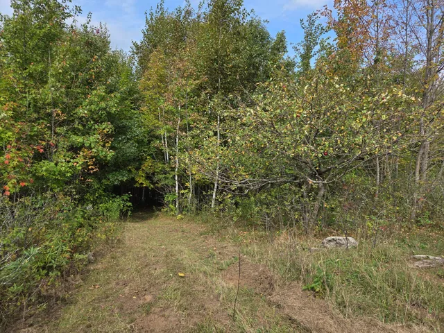 $750,000 | 1449 3 1/2 Avenue, Dallas, WI 54733