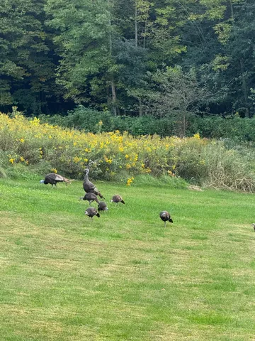 $750,000 | 1449 3 1/2 Avenue, Dallas, WI 54733