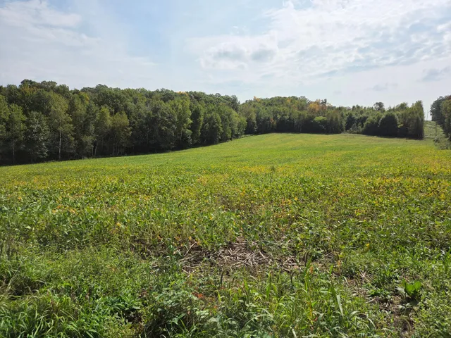 $750,000 | 1449 3 1/2 Avenue, Dallas, WI 54733