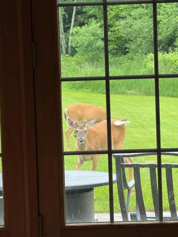 $750,000 | 1449 3 1/2 Avenue, Dallas, WI 54733