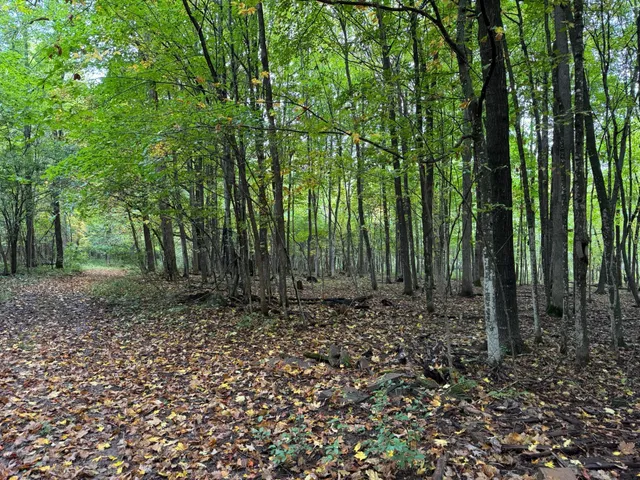 $750,000 | 1449 3 1/2 Avenue, Dallas, WI 54733