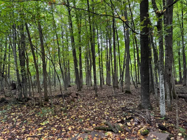 $750,000 | 1449 3 1/2 Avenue, Dallas, WI 54733