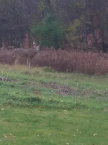 $750,000 | 1449 3 1/2 Avenue, Dallas, WI 54733