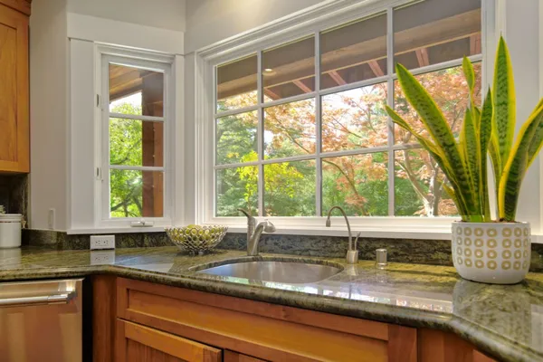 a view of a lush green forest