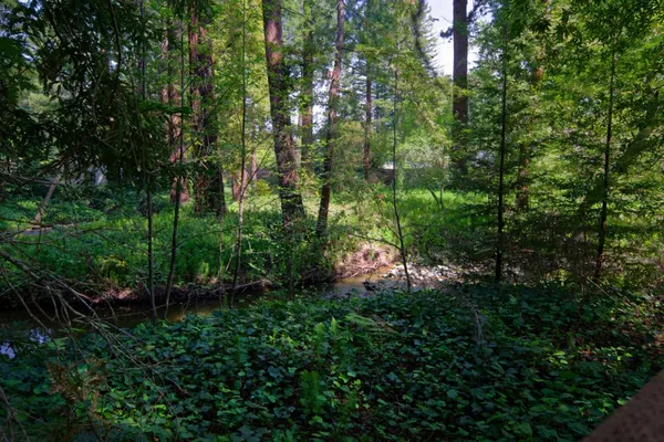 $5,998,000 | 340 Willowbrook Drive, Portola Valley, CA 94028