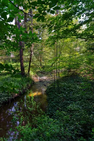 $5,998,000 | 340 Willowbrook Drive, Portola Valley, CA 94028