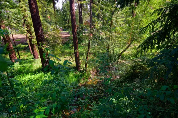 $5,998,000 | 340 Willowbrook Drive, Portola Valley, CA 94028