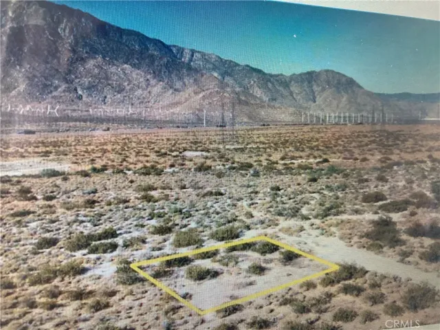 a view of a lake in middle of the forest