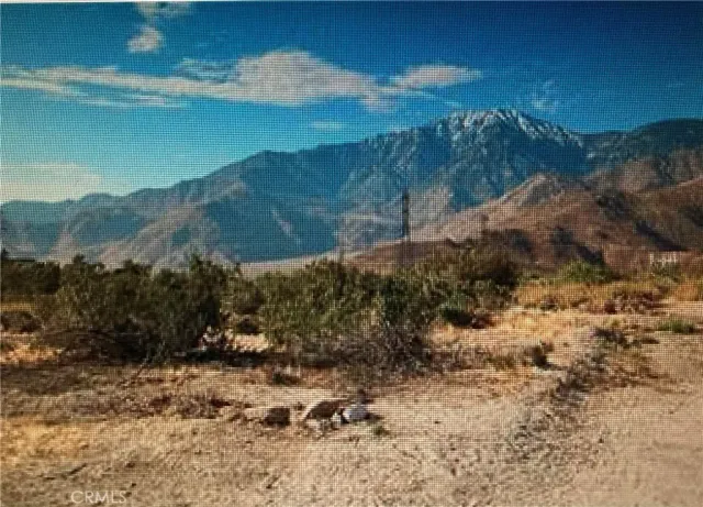 a view of a backyard with plants and lake view