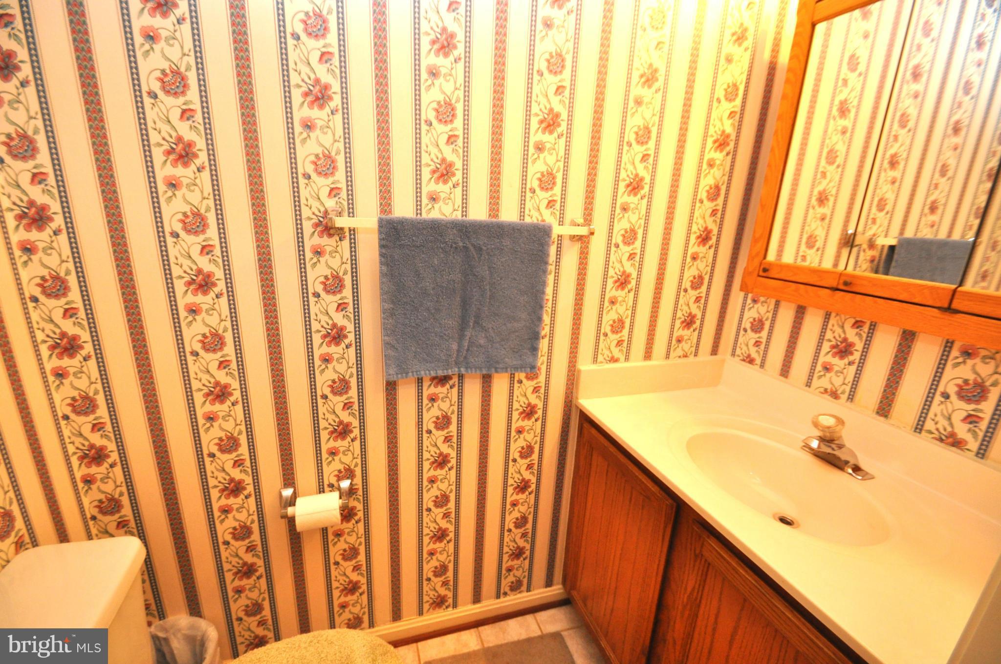 213 Gentlebrook Road Owings Mills, MD 21117 - Photo 4 of 29 Bath
