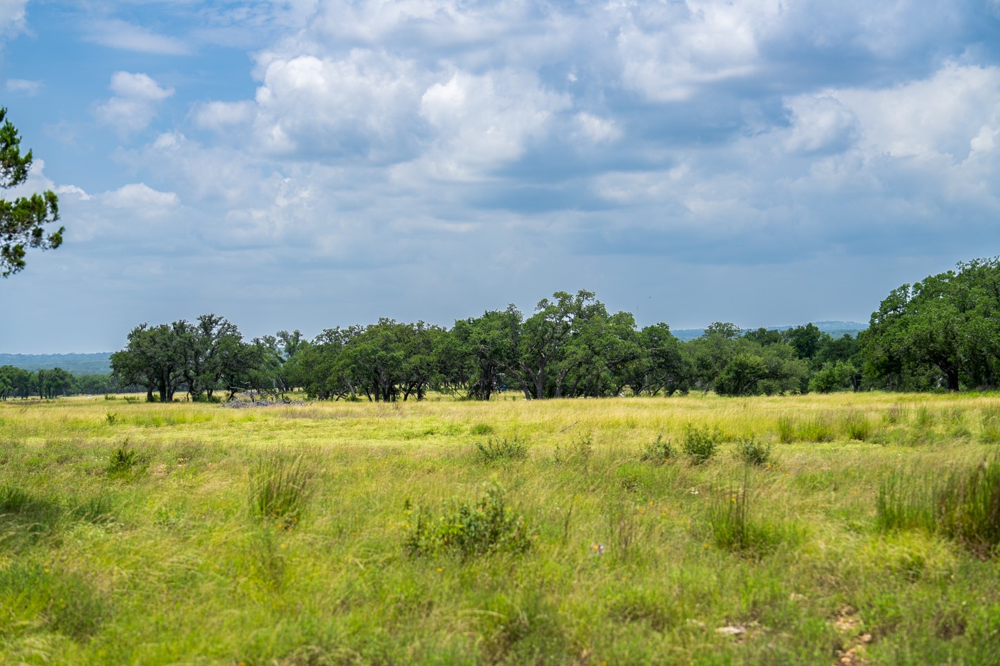 3979 Chimney Valley Road Blanco, TX 78606 - Photo 4 of 34 a view of an outdoor space and yard