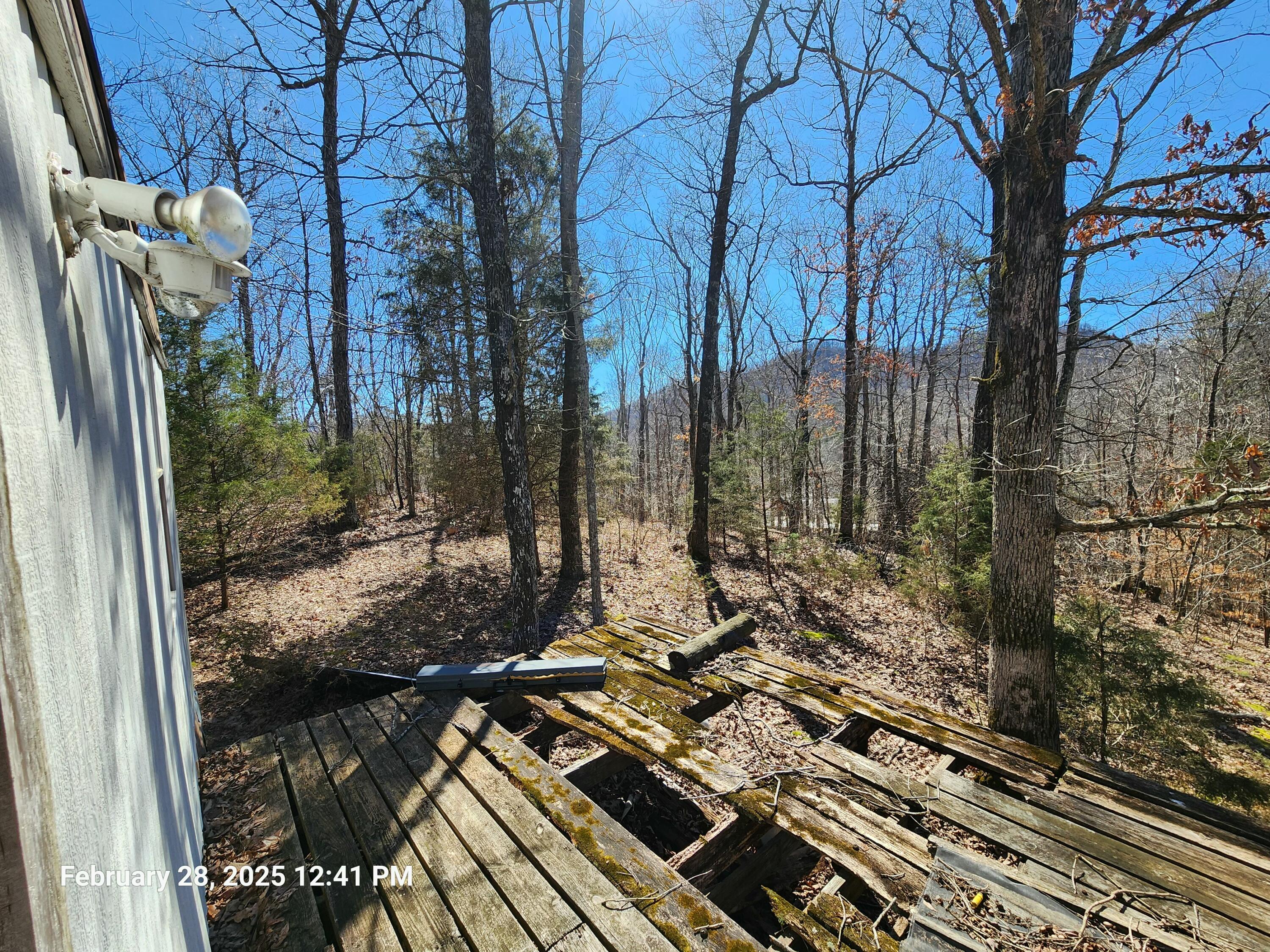 580 Nelson Branch Road Clay City, KY 40312 - Photo 35 of 38 tempImagetE2cZ4