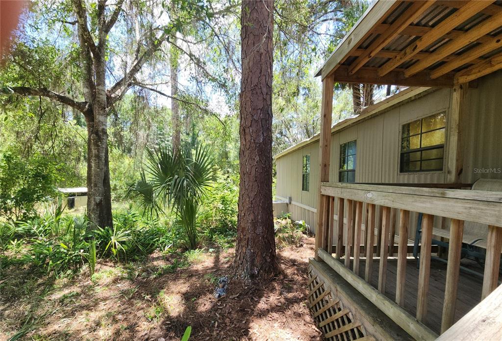 22835 Southwest 117th Place Road Dunnellon, FL 34431 - Photo 11 of 48