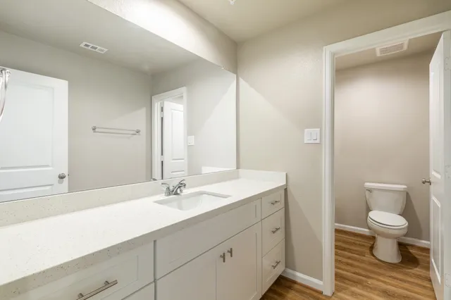 a bathroom with a sink a toilet and a large mirror