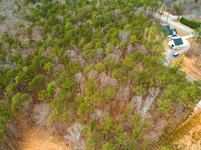 4243 Harmony Grove Church Road Dallas, GA 30132 - Photo 2 of 4 a close up of a tree