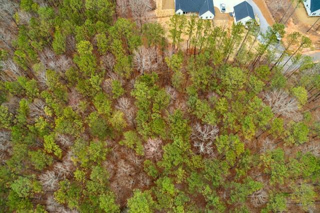 4243 Harmony Grove Church Road Dallas, GA 30132 - Photo 3 of 4 a view of a yard