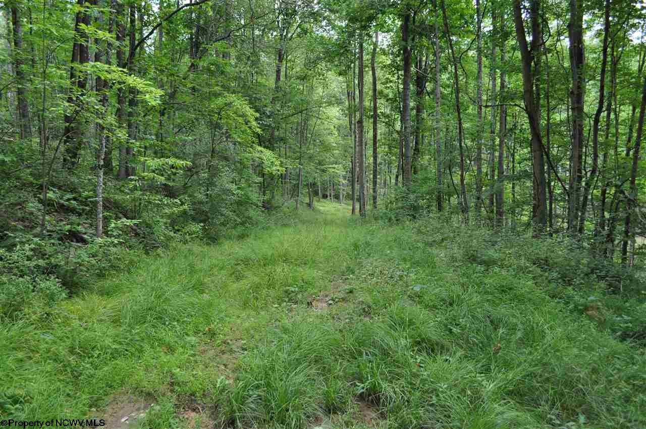 575 Fairview Road Independence, WV 26374 - Photo 11 of 20 Gallery Image 11