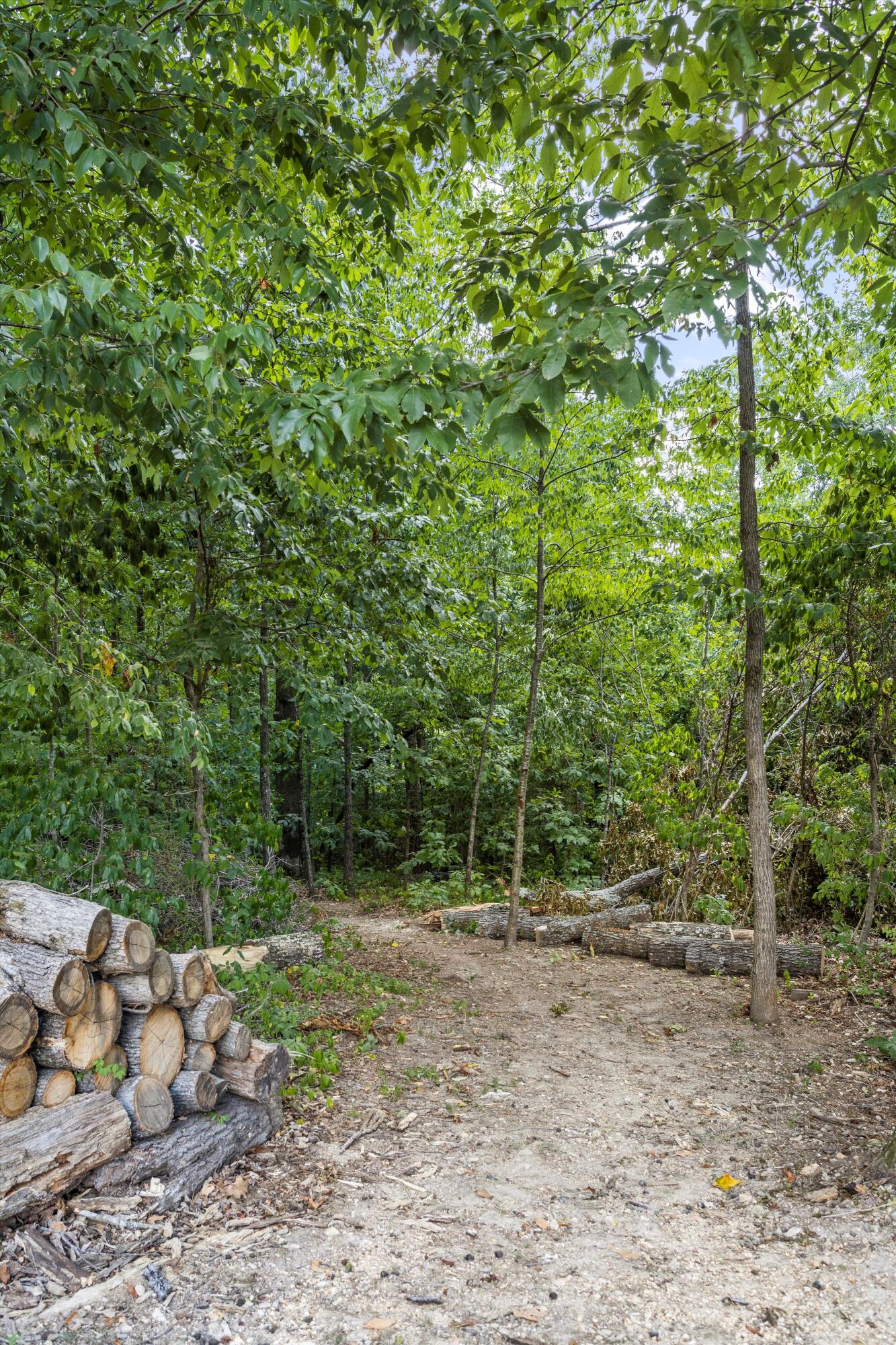8429 Standifer Gap Road Chattanooga, TN 37421 - Photo 11 of 46 11-IMG_9482