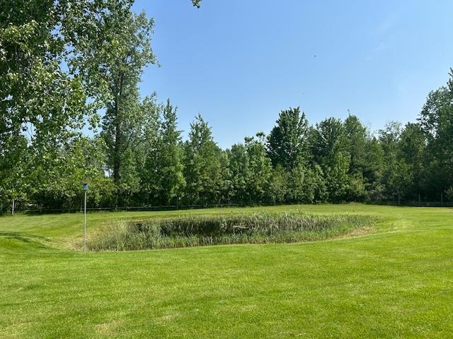6586 North Coleman Road Coleman, MI 48618 - Photo 88 of 92