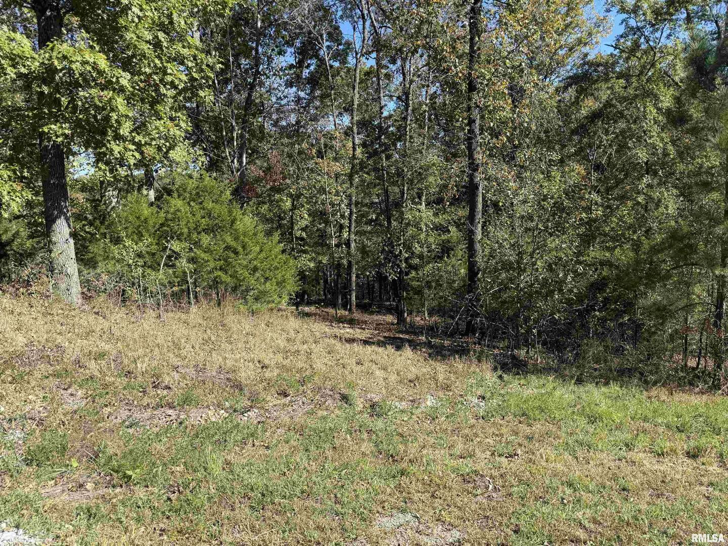0 Clifty Lane Goreville, IL 62939 - Photo 4 of 8