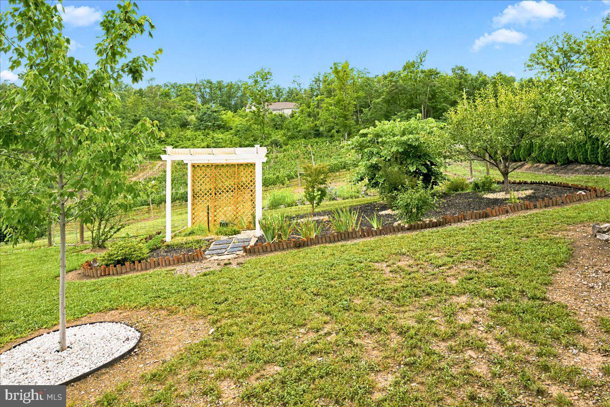 1309 Redland Road Cross Junction, VA 22625 - Photo 53 of 84