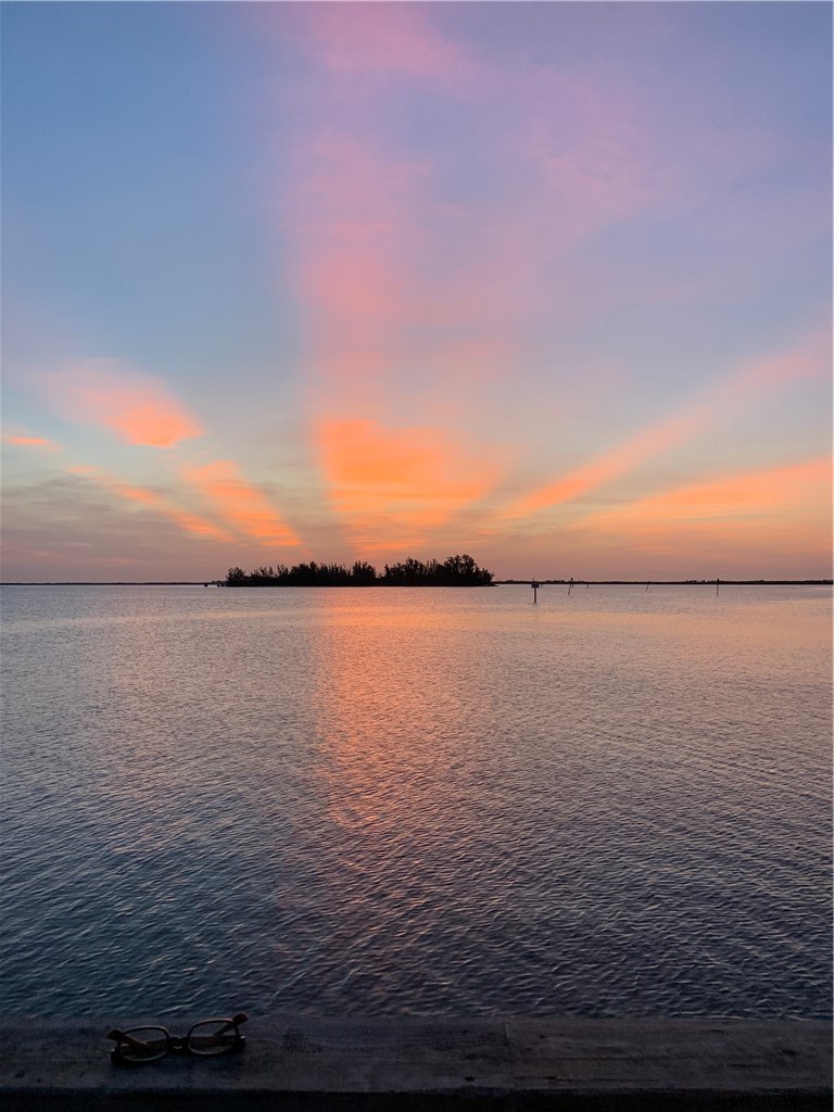 636 Gossamer Wing Way Sebastian, FL 32958 - Photo 36 of 36 a view of an ocean
