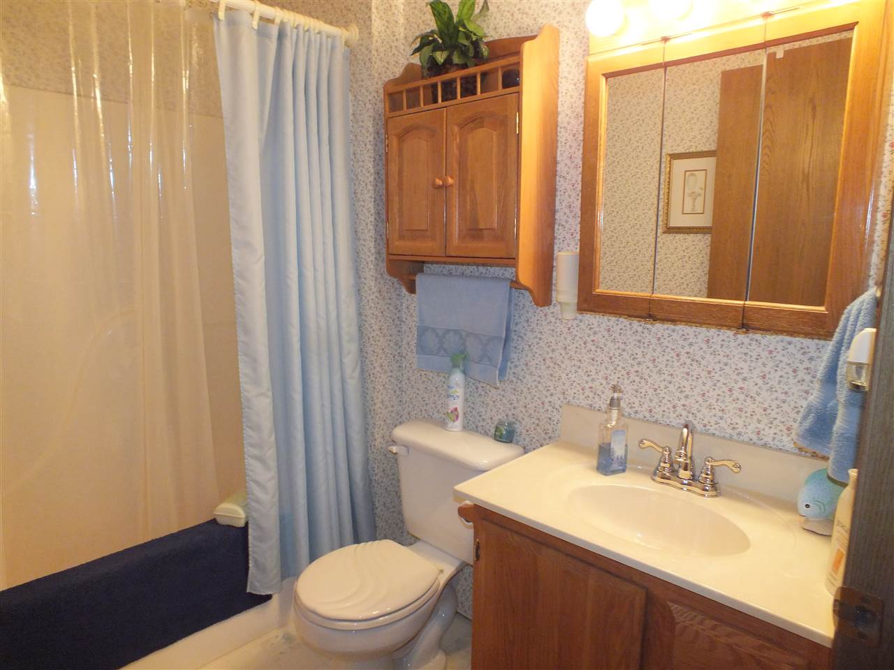 1933 Tyler Road Southeast Kalkaska, MI 49646 - Photo 20 of 40 1814541-19.JPG