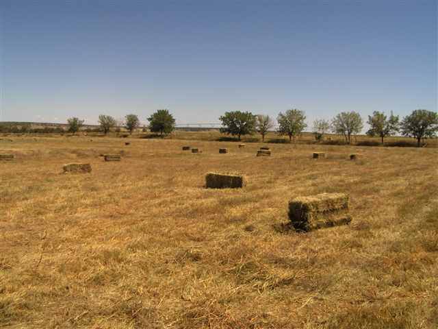 14 County Road 9146 Snowflake, AZ 85937 - Photo 3 of 5
