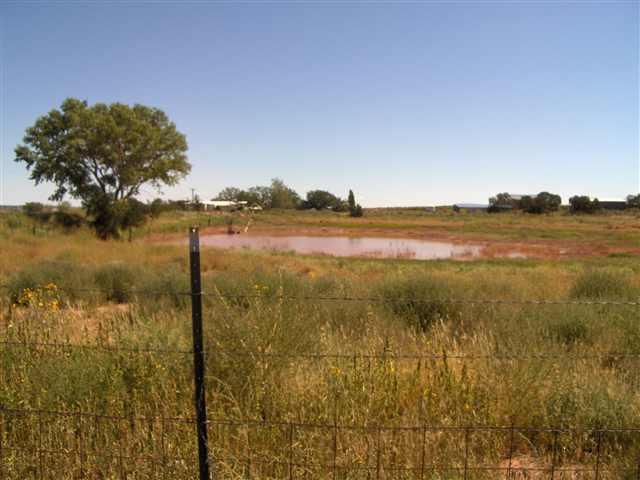 14 County Road 9146 Snowflake, AZ 85937 - Photo 4 of 5