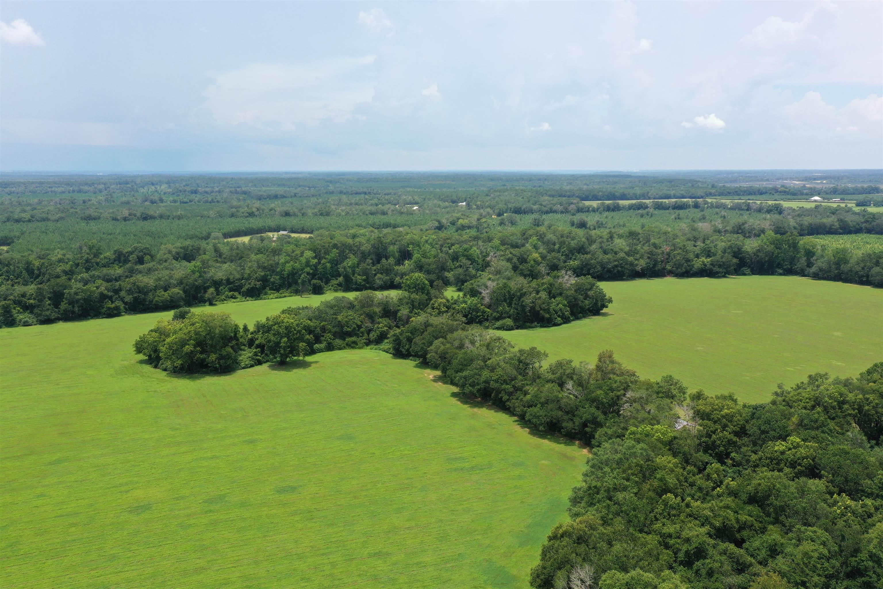 Xx Xx Max Herrin Road Quincy, FL 32352 - Photo 16 of 46