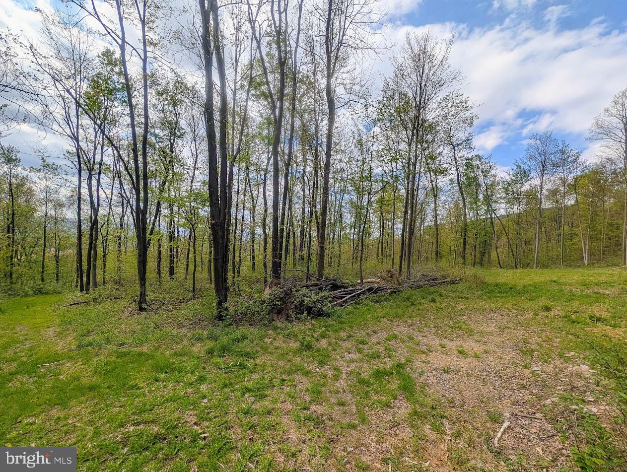 119 Heavens Vw Road Schellsburg, PA 15559 - Photo 31 of 35