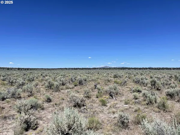 $9,000 | Benjamin Lake Road, Unit L 502, Christmas Valley, OR 97641
